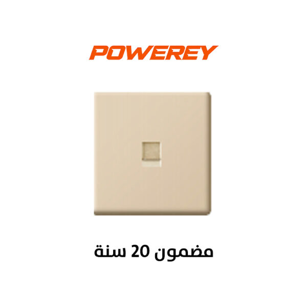 Switch Computer socket Ultra thin gold - Al Manzil